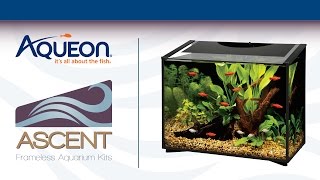 Aqueon  Ascent Frameless Aquarium Kit  Modern Fish Tank [upl. by Wendolyn445]