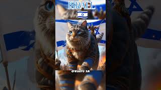 Cute miau cat palestina Israel Indonesia Malaysia Amerika 🇵🇸🇮🇩🇺🇸🇮🇱🇲🇾 cat kucing cutecat shorts [upl. by Lizzy]