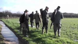 Raveningham Estate Hare Shoot  2014 [upl. by Nolyarb63]