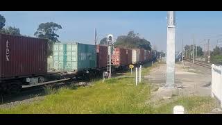 48153 G534 Swift Livery going pass Marrickville Station in September 2023 [upl. by Daisie]