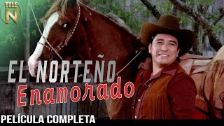 El Norteño Enamorado 1979  Tele N  Película Completa  Cornelio Reyna [upl. by Ceil64]