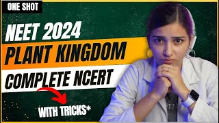 NEET 2024 Plant Kingdom One Shot  Class11 Biology [upl. by Ithaman]