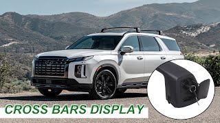 Customized Roof Rack Cross Bar for HYUNDAI PALISADE [upl. by Jaime]