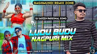 Dj SarZen Song ✓Ludu Budu Sag ✓ Nagpuri Dj SongTapori Vibration Mix DJ Nanda [upl. by Hines]