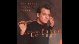 Schubert  Introduction et Varation Pahud Flute  Lesage Piano [upl. by Maxia]