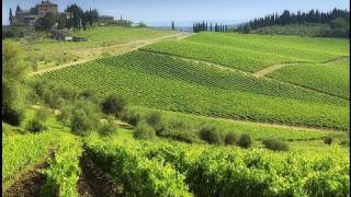 Chianti best routes in Tuscany [upl. by Vachell]