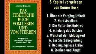 Das tibetische Buch vom Leben und vom Sterben Sogyal Rinpoche  8 Kapitel [upl. by Allista]