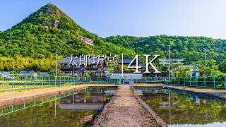 【勝利と幸運を授ける聖域】太郎坊宮を訪ねて  JAPAN in 4K [upl. by Arac467]