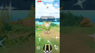 ✨Shiny Skiddo CAUGHT In Pokemon Go✨ shorts pokemon [upl. by Ecnatsnok]