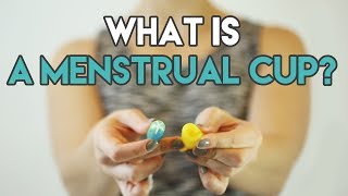 What Is A Menstrual Cup [upl. by Ahsoik]