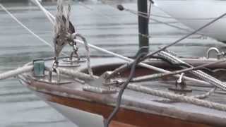 Kieler Woche 2014  Klassische Yachten segeln um die Wette [upl. by Eyllom]