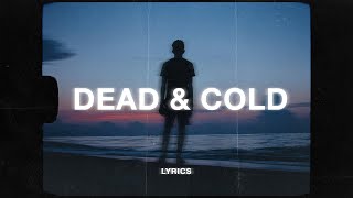 SadBoyProlific  Dead and Cold Lyrics  i wish i was dead and cold [upl. by Arateehc433]