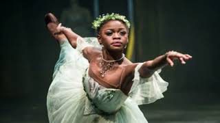 The TRUTH ABOUT the TRAGIC DEATH Of Ballerina Michaela DePrince At JUST 29 Years Old [upl. by Nosauq]