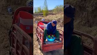 Small electric fertilizer spreader After agricultural plantingagriculturemotivationviralvideo [upl. by Eram801]