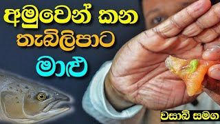 වසාබි වල තිත්ත ඇත්ත දැනගන්න  sinhala food review  wasabi challange [upl. by Yar]