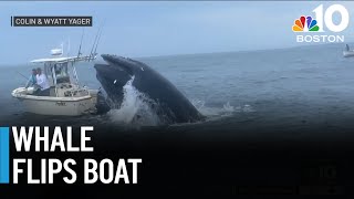 Whale slams into boat off coast of Portsmouth NH [upl. by Guglielmo]