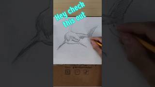 Dinosaur and shark sketchbook sketches youtubegrowth monetization [upl. by Battiste]