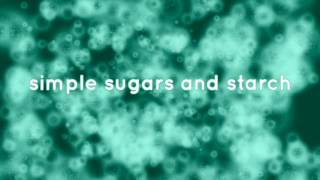 Science  Enzymes amp Digestion GCSE Revision song  Teaser [upl. by Anilram289]