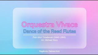 ORQUESTRA VIVACE  Dance of the Reed Flutes Piotr Ilitch Tchaikovski [upl. by Obelia]