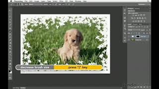 Photoshop Tutorial  How to create custom borders [upl. by Horatio31]