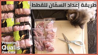 طريقة سهلة لإعداد السمان لقططي Preparing Quails For Cats [upl. by Weihs171]