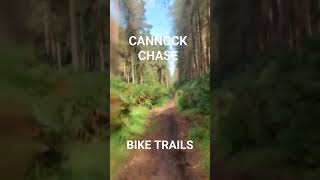 CANNOCK CHASE BIKE TRAILS viral viralshort cannock cannockchase bike bikelife forest [upl. by Aihsyla]