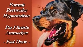 PORTRAIT HYPER REALISTE ROTTWEILER  PAR LARTISTE AMMODYTE [upl. by Darnall]