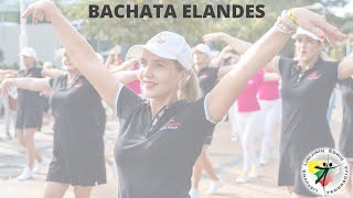 BACHATA ELANDES  LINE DANCE  PALANGA 2024 [upl. by Pennebaker]