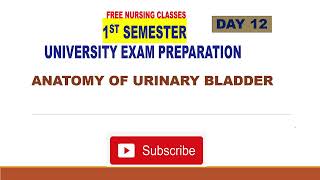 Urinary Bladder Anatomy FOR FIRST SEMESTER BSC NURSING WITH PREVIOUS QUESTION PAPERS Day 12 [upl. by Pattison]