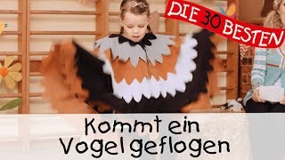 👩🏼 Kommt ein Vogel geflogen  Singen Tanzen und Bewegen  Kinderlieder [upl. by Ketti]