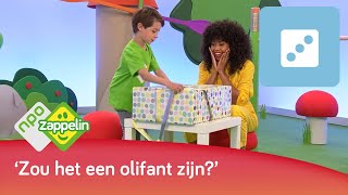 EEN GROTE DOOS UITPAKKEN  Kinderspelletjes spelen met Fenna  NPO Zappelin [upl. by Yvonne]