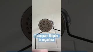 TRUCO para limpiar la REGADERA hacks trucos limpieza ducha regadera [upl. by Ahsineb932]