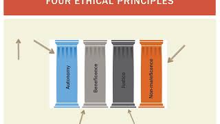 Revalidation clinical governance audits and the 4 Ethical Principles [upl. by Oek]