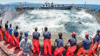 Everyone should watch this Fishermens video  Big Catch Hundreds Tons Fish With Modern Big Boat [upl. by Jeannette]