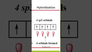 Hybridization in Carbon chemistry carbon hybridisation [upl. by Naik836]