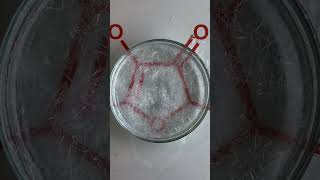 Crystallization process kimyager laboratory reaction funny experiment chemistry [upl. by Atteve]