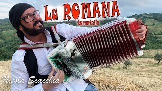 LA ROMANA NICOLA SCACCHIA il Re della tarantella dellorganetto [upl. by Xylia]