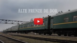 Alte frunze de dor [upl. by Ahseal239]