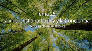 Preguntas Tema 25 La Vida Cristiana La Ley y La Conciencia [upl. by Neitsirk267]