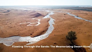 rivers forming in the desert   river in desert  Saudi [upl. by Enasus]