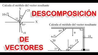 DESCOMPOSICIÓN DE VECTORES [upl. by Aiela]