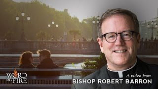 Bishop Barron on Sexuality Sacrifice and Love [upl. by Pisarik881]