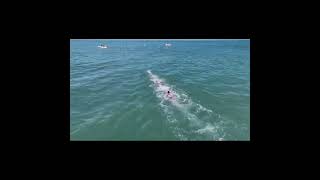 Oceanman relay Final  Lifesaving World Championships 2022 Riccione [upl. by Hazaki]