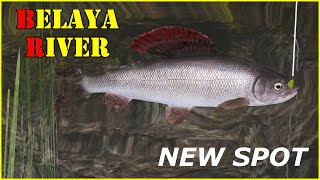 new spot Belaya River Grayling  Russian Fishing 4 rf4 spot 215 [upl. by Daitzman]