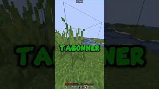 3 SECRETS Incroyable Sur MINECRAFT  shorts [upl. by Ysied737]