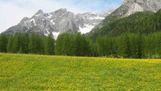 Inno al Trentino [upl. by Lairea]