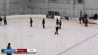 CCM Denver Gm 5 Mountain selects Vs Dallas Penguins [upl. by Ellezig]