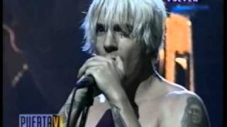 Red Hot Chili Peppers  I Could Have Lied Live in Argentina 1999 [upl. by Malloch220]