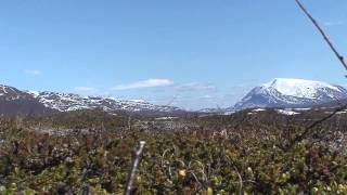 I vildmarken med kano kors og kaffekedel 1 del Fra fjeldet til fjordene [upl. by Conlin]