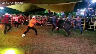 Jaripeo en Nigromante Veracruz 💥 en honor a la fiesta de Santa Cecilia [upl. by Eniamahs657]